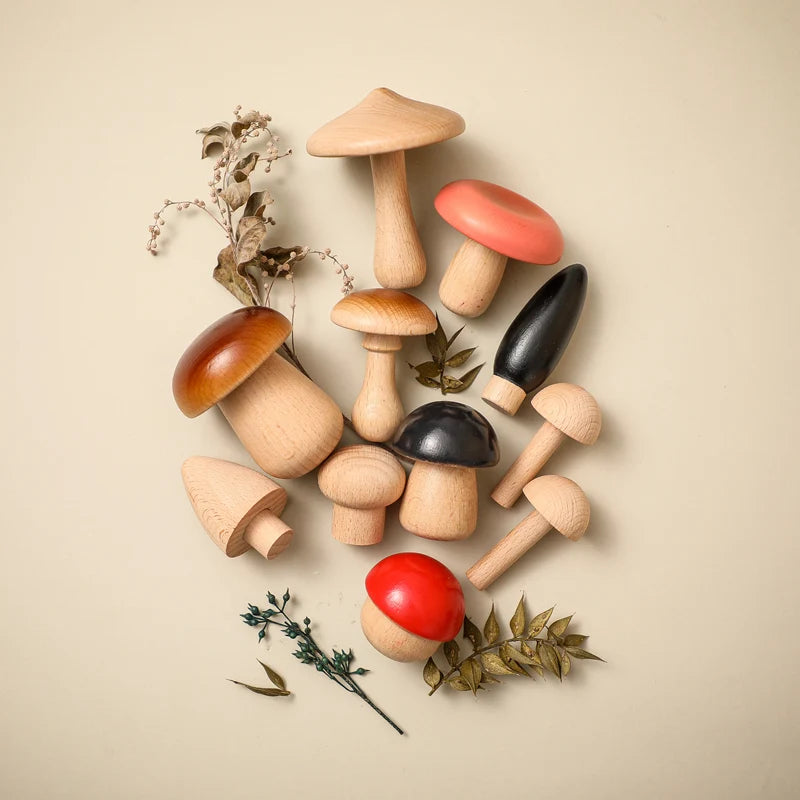 Jeu d’eveil Champignon - Set de Champignon Bois - Jeu D’eveil bébé